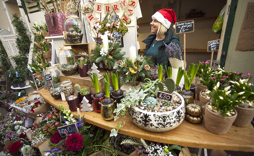 Plant stall at St Nick's Christmas Market